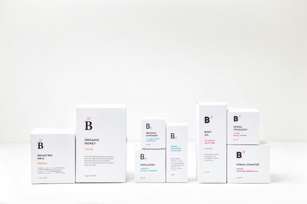 Branding elements showing consistency